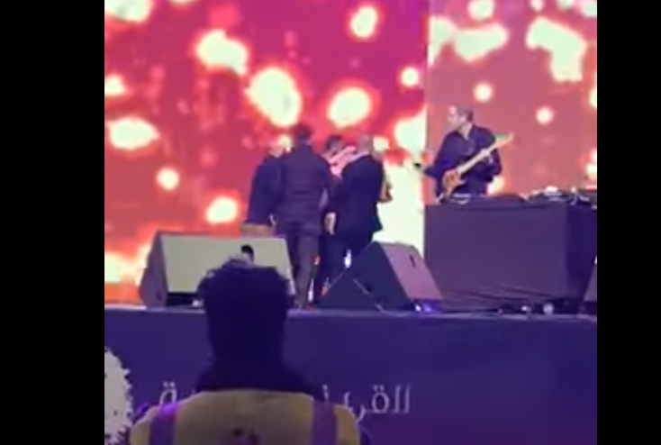 اليكم تفاصيل حالة اليسا الصحية التي ادت الى فقدان وعيها على المسرح