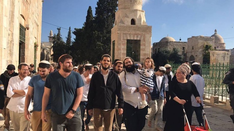  العدد الأكبر خلال سنوات