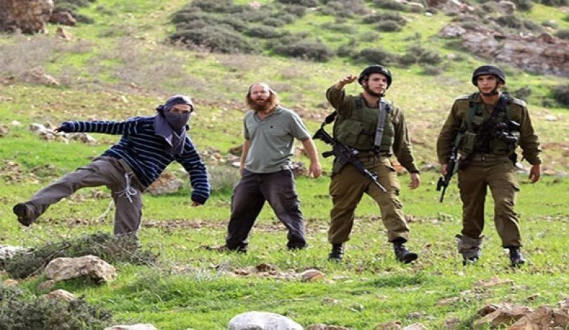 مستعمرون يعتدون على شاب أثناء رعيه أغناماً في وادي القلط