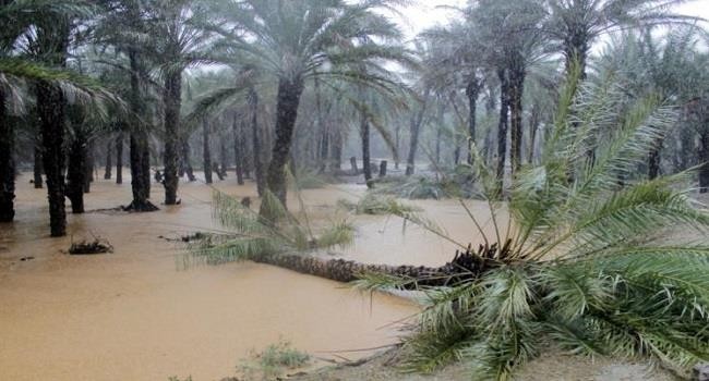 فقدان 7 أشخاص إثر إعصار ضرب جزيرة سقطرى اليمنية 