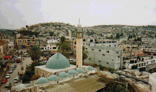 جنين تختتم معسكر فلسطين في عيون أبناء الشهداء السابع