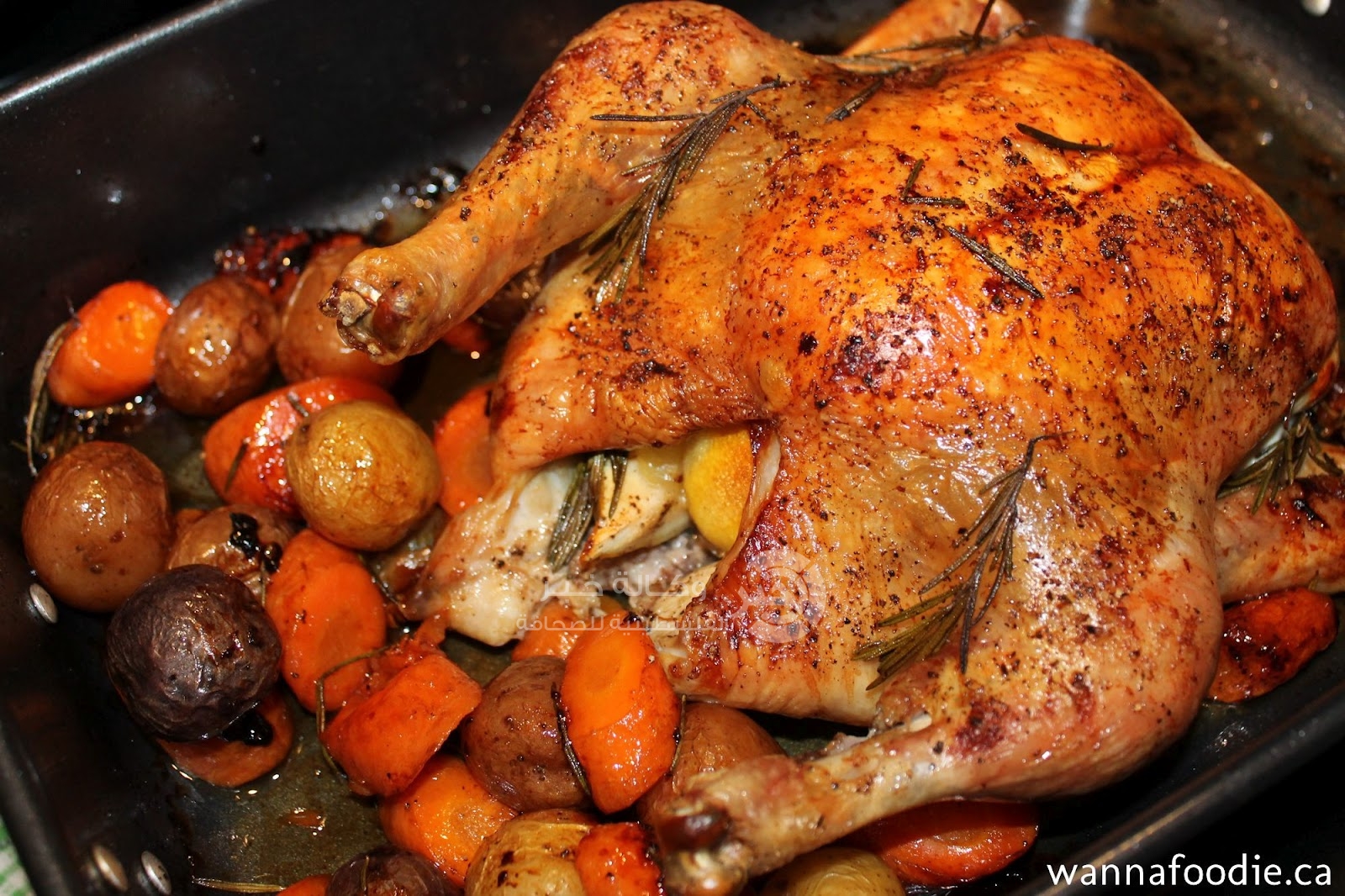 دجاج مشوي بالأكياس الحرارية في الفرن