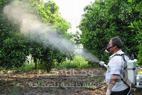 مزارعون يشكون : أسمدة كيماوية فاسدة بغزة تدمر محاصيلنا الزراعية