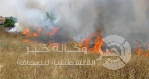 نابلس: تدريبات الاحتلال تتسبب بإحراق ألاف الدونمات