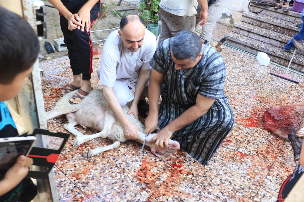 بالصور: الفلسطينيون يذبحون أضاحيهم والشوارع تمتلئ بالدماء