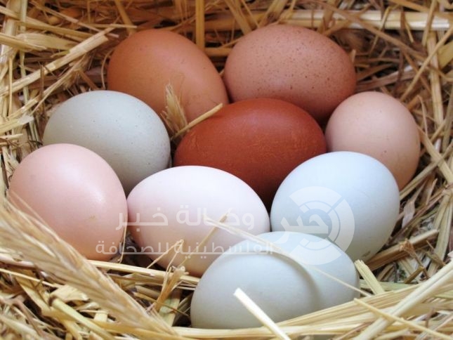 3 خرافات غذائية يجب التخلّص منها على الفور