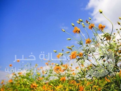 الطقس : أجواءٌ ربيعية ، وارتفاع علي درجات الحرارة