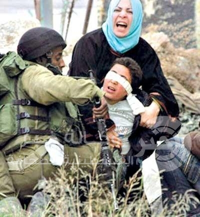 الاشقر: قضية الاسرى الاطفال تحتاج من اليونيسف لقرار عملي وليس لإدانات