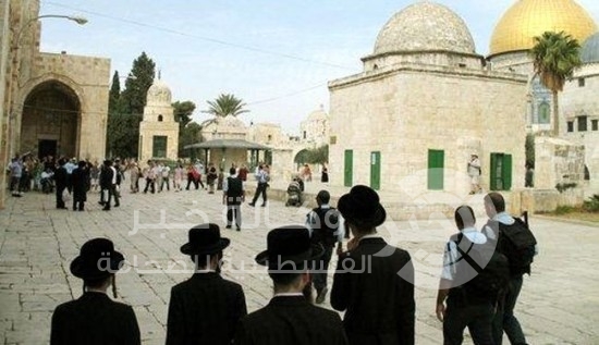 القدس المحتلة : مستوطنون يقتحمون باحات المسجد الأقصى من جهة باب المغاربة
