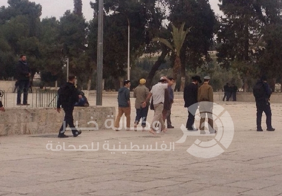 مستوطنون يقتحمون باحات الأقصى بحماية الاحتلال