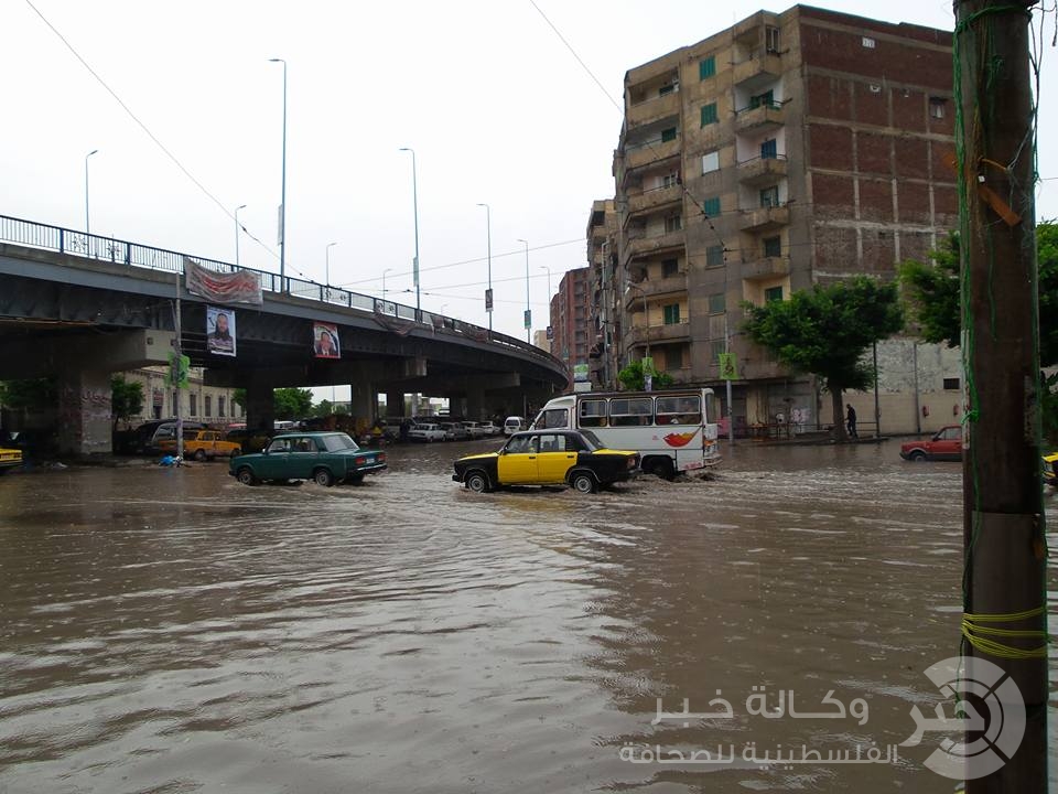 أمطار الاسكندرية بالفيديو: مواطن يتنقل بالكراسي وحمار يعوم لينقل صاحبه