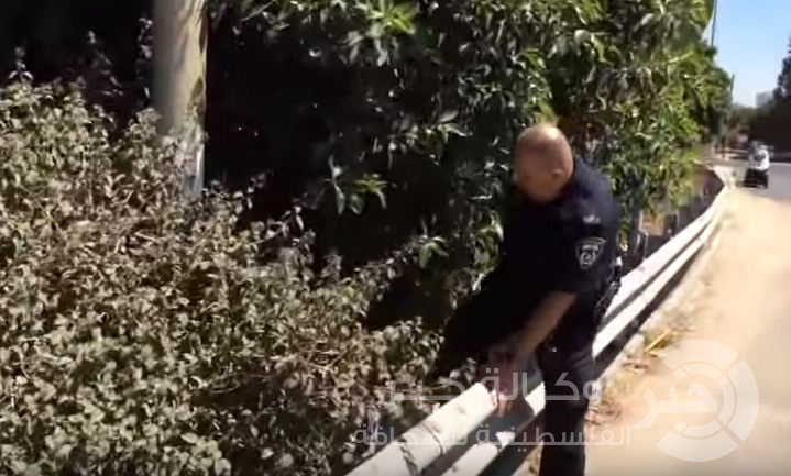 بالفيديو : أين يعيش العمال الفلسطينيون في اسرائيل !؟