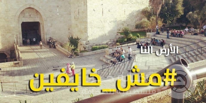 كوبٌ من القهوة عند باب العامود، و”تشيك إن” من قلب الأقصى.