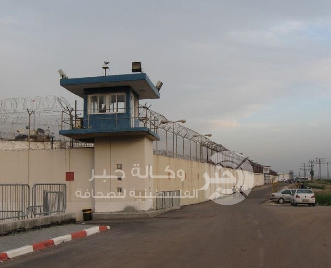 ادارة سجن النقب تعزل أسيرًا بعد إضرابه عن الطعام