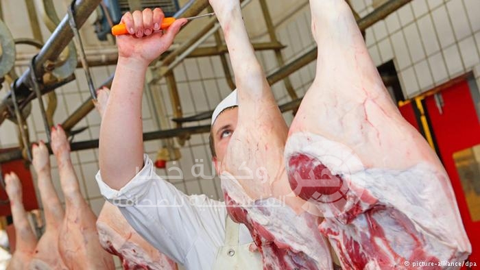 دراسة: الدهون الحيوانية مفيدة للصحة