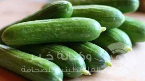 لا خيار الا الخيار