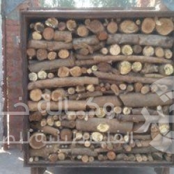 الهند.. مقتل 20 من مهربي خشب الصندل