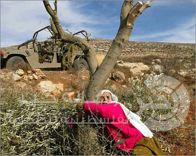 المرأة .. البيت الأول الذي يترعرع فيه رئيس الدولة وغفيرها