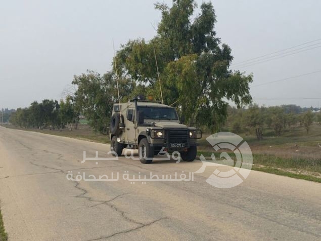 مستوطنات تختبىء وراء الاشجار خوفا من صورايخ غزة