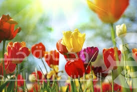 حالة الطقس: أجواء صيفية عادية حتى بداية الأسبوع المقبل