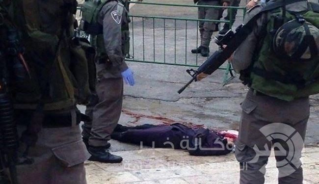 "دانيا ارشيد" اُعدمت رغم صرخاتها "لا أحمل سكينا"