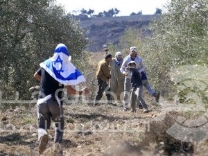 اعتقال خلية مستوطنين تخطط لتنفيذ هجمات