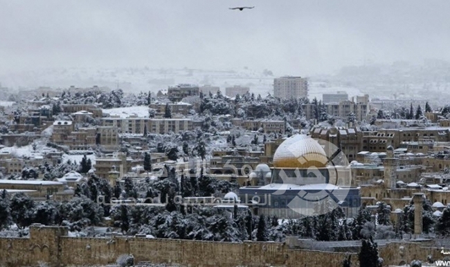 العاصفة «ساندي» تضرب فلسطين