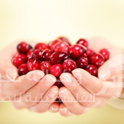 أطعمة تحارب الشيخوخة