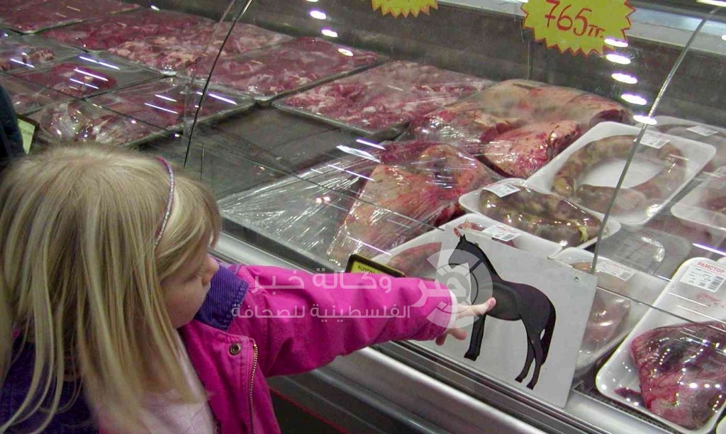 بالتفاصيل : الفحوصات والتحقيقات في غزة تكشف حقيقة بيع لحم الحصان