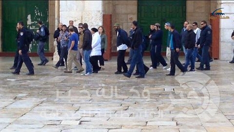 بالفيديو والصور : عصابات المستوطنين تجدد اقتحامها لباحات الأقصى