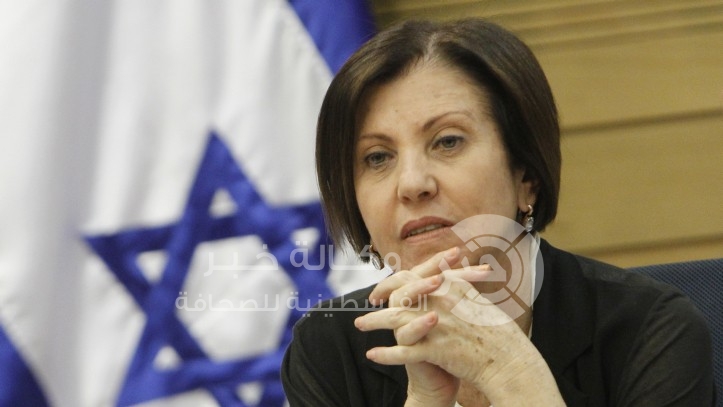 ميرتس: إسرائيل بحاجة لغزة مزدهرة لمنع الجولة القادمة