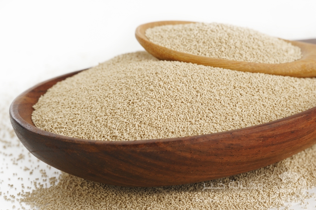 الفوائد الصحية والجمالية للخميرة