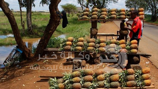طلبت بريطانيا من مواطنيها تجنب السفر إلى معظم المنتجعات الساحلية الكيني