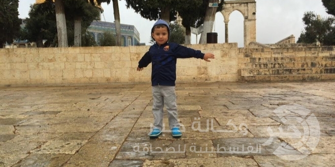 بالصور :أمطار الخير في الأقصى والمصلون يتوافدون اليه