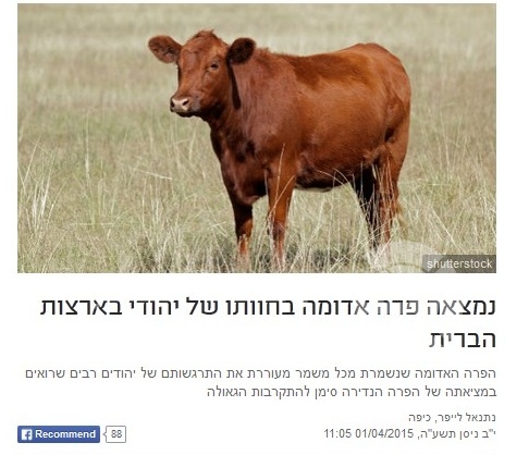 تسرع بهدم الاقصى ونزول 