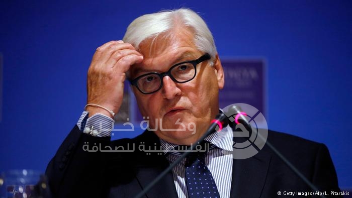 شتاينماير ينتقد إحالة أوراق مرسي إلى المفتي