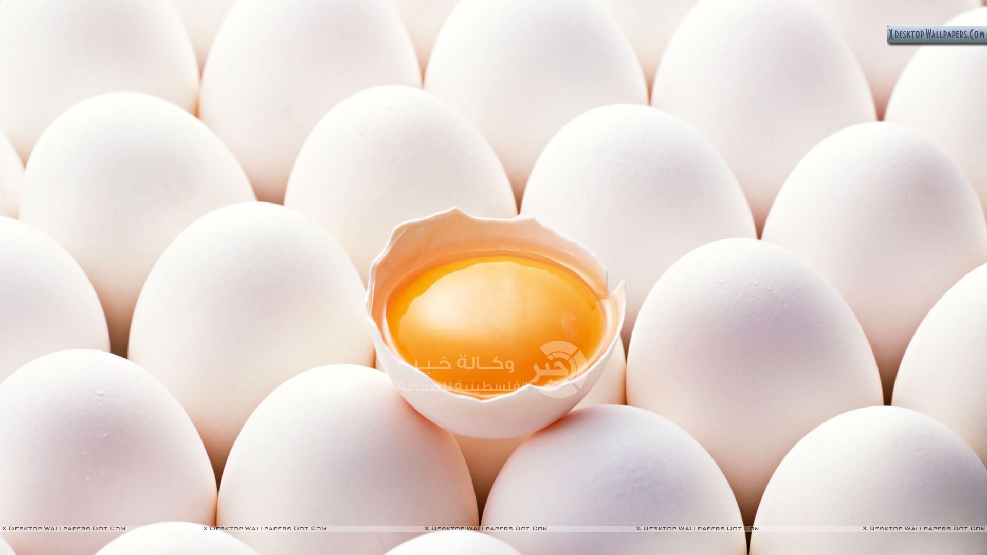تعرفي على فوائد تناول البيض