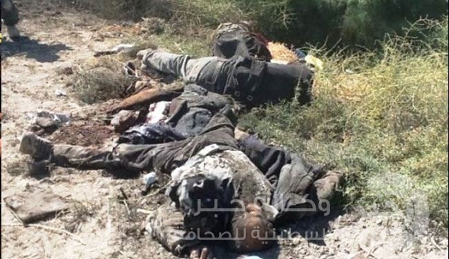 العراق: مقتل 70 داعشيا بينهم 3 أمراء ومفتي الرمادي