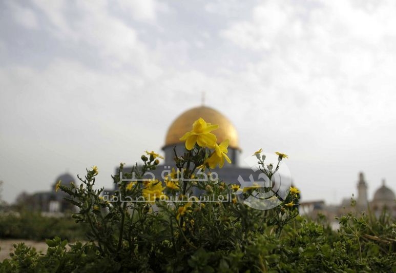 فصل "الربيع" يزور فلسطين