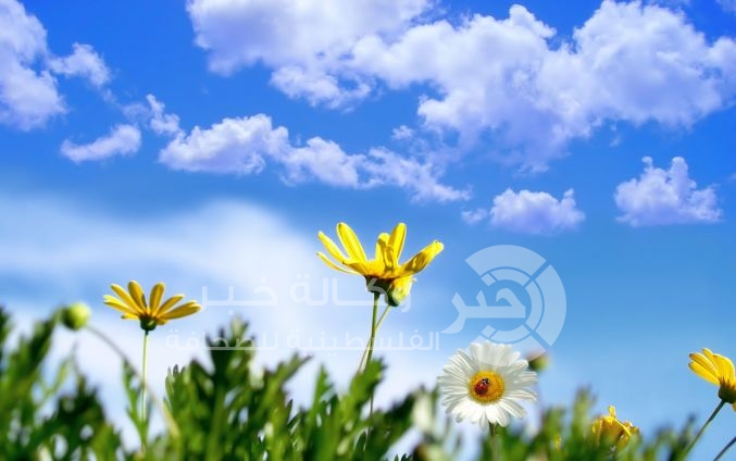 الجو صافياً بوجه عام مع انخفاض ملموس على درجات الحرارة