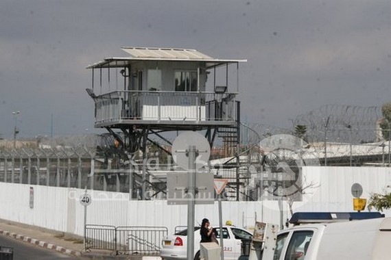 الحكم على ثلاثة مواطنين من "خانيونس" اعتقلوا في الحرب