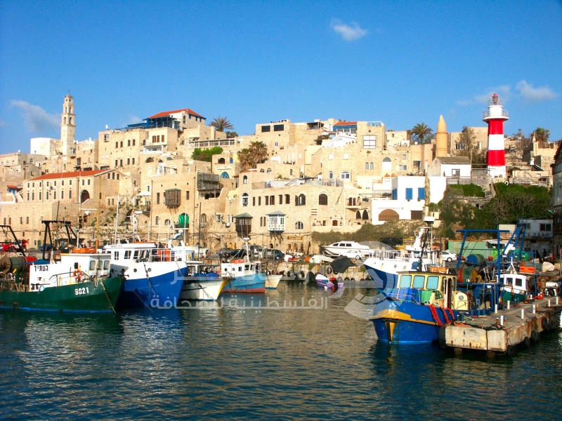 مساعي إسرائيلية لإفراغ ميناء يافا من الصيادين الفلسطينيين