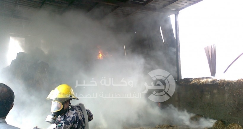 نفوق 9000 طير دجاج في حريق جنوب جنين