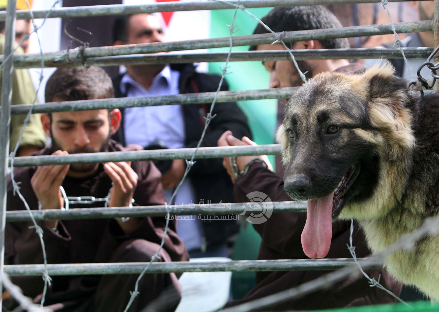 "حمدونة" يدعو إلى جمع شهادات الأسرى وتوظيفها في تجريم الاحتلال