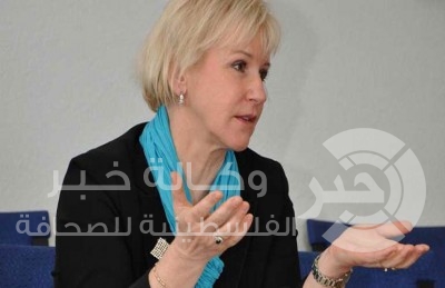 السويد ستشارك ب120 جنديا في التحالف الدولي ضد "داعش"