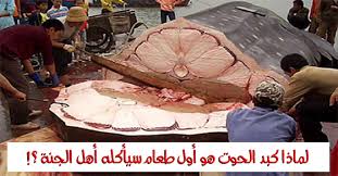 العلماء يوضحون لماذا كبد الحوت هو أول طعام لأهل الجنة ؟!