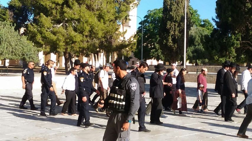 محدث بالصور: عشرات المستوطنين ومرشدين إسرائيليين يقتحمون الأقصى