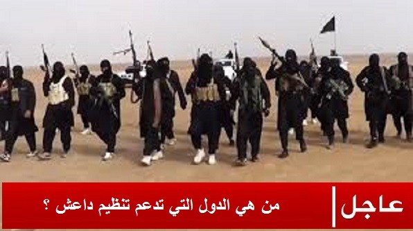 موقع كندي يكشف عن أسماء 7 دول تمول "داعش" بالسلاح