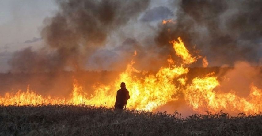 اندلاع أكثر من ألف حريق بمستوطنات غلاف غزة منذ 3 أشهر