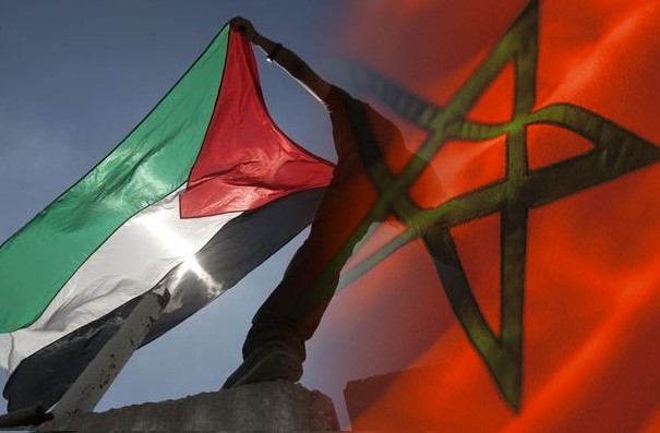 صيدم يشكر المغرب على زيادة عدد المنح الدراسية إلى 100